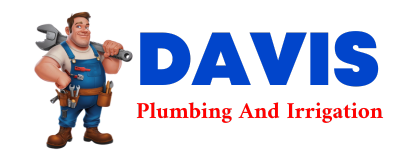 Trusted plumber in EARLY BRANCH